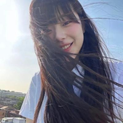 金式森林粤语