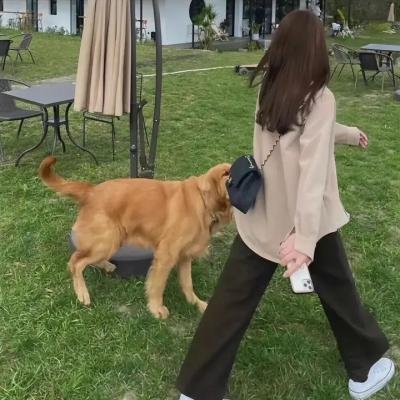 北极求生任务